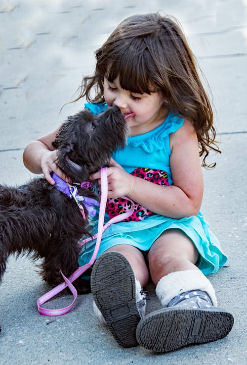 Bebé y perros, cómo tener una buena relación