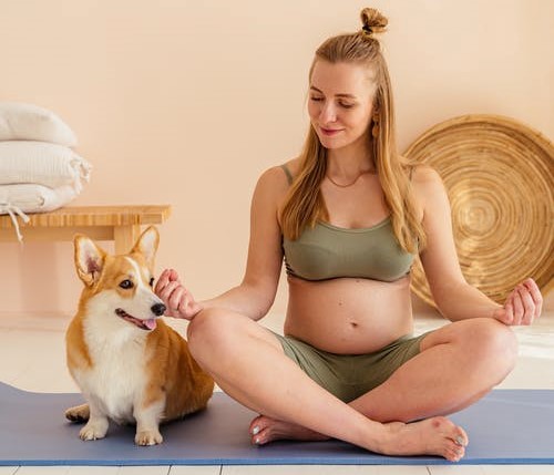 Bebé y perros, cómo tener una buena relación